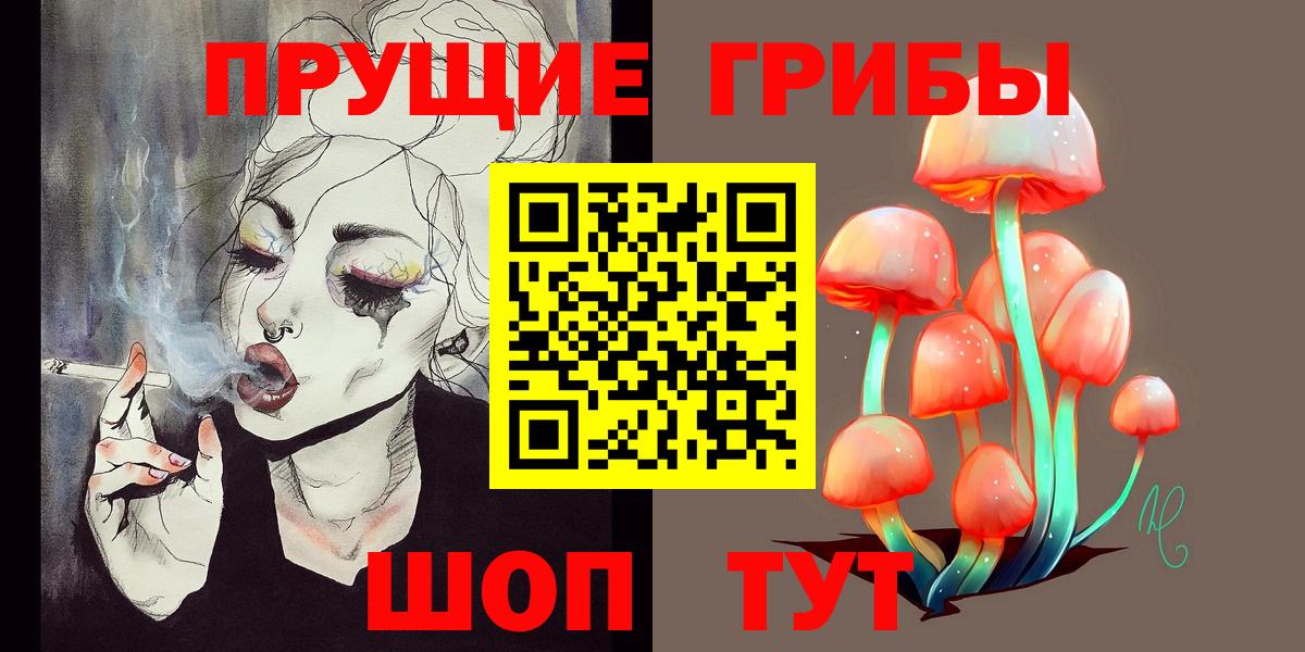 Рассказово  наркотики  Вход с VPN  Псилоцибиновые грибы MAGIC MUSHROOMS  Галлюциногенные грибы прущие грибы 