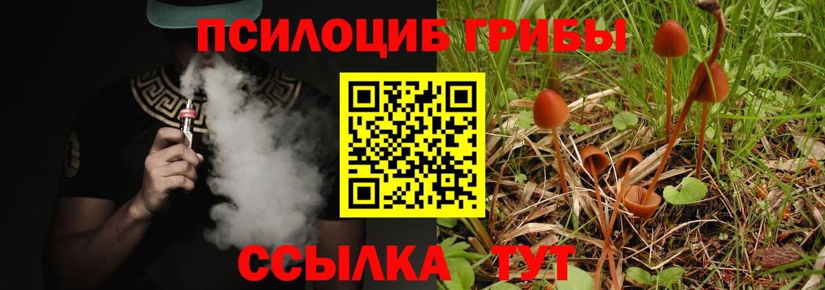 Галлюциногенные грибы GOLDEN TEACHER Рассказово