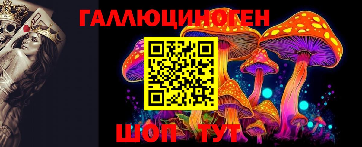 Альфа ПВП Рассказово